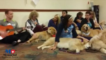 When Dog Therapy Meets Music Therapy  Memorial Healthcare System