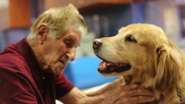 Liz Our Pet Therapy Dog Memorial Rehabilitation Institute