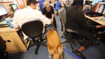 Speech therapy patient forges bond with Compass the Memorial Pet Therapy dog