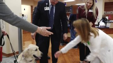 Meet Mesa Therapy Dog at South