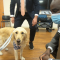 Scrunchie Pet Therapy Dog Joins Memorial